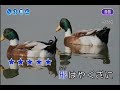 勘太郎月夜唄  小畑 実 /ann/斗六真善美錄製