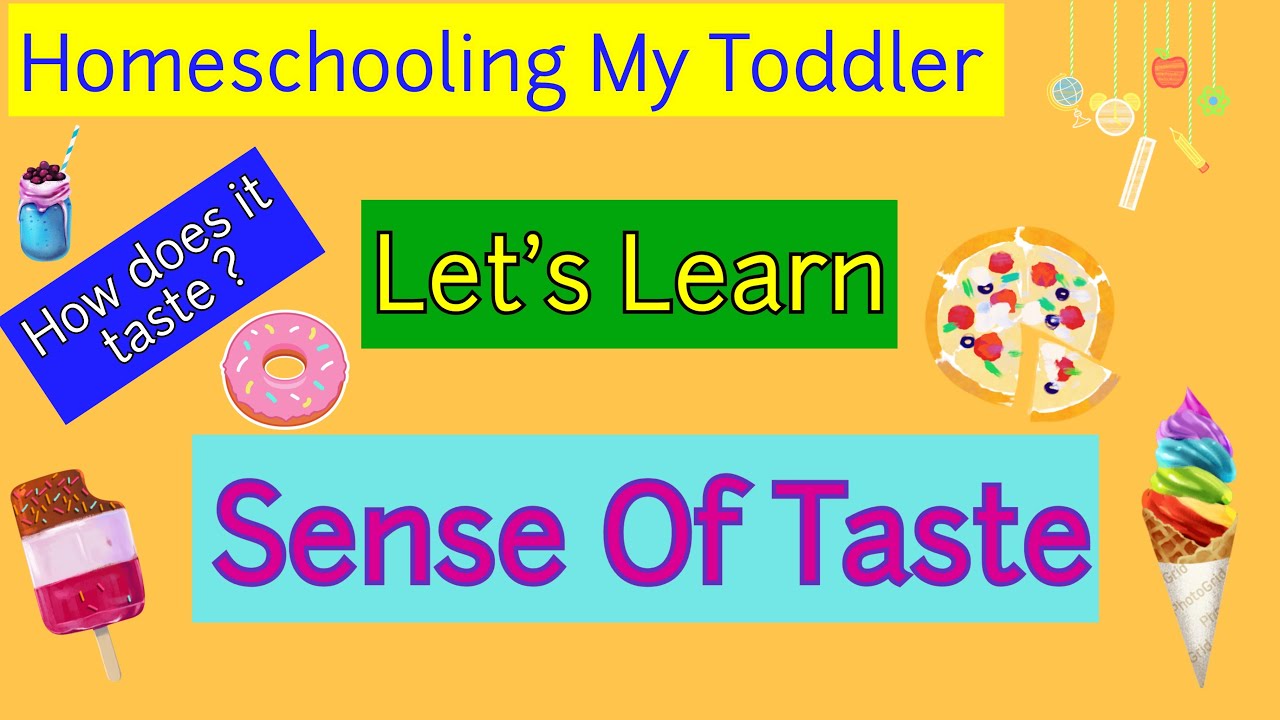 Homeschooling My Toddler (Part 18) | Sense Of Taste | How Does Tongue