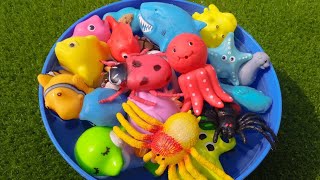 Sea Animals, sea animals toys in English, Aquatic animals, Whale, Sea Turtle, Blue Whale, Shark