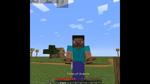 can totem of undying can save from /kill ??