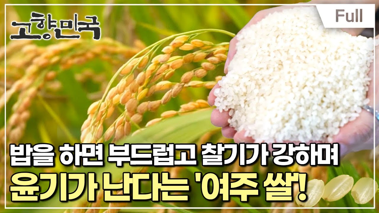 [Full] 고향민국 - 여주, 땅이 빚은 명품