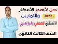 حل اهم التمارين والافكار درس الاشتقاق الضمني والبارامتري تفاضل الصف الثالث الثانوي نظام جديد 2022