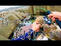 【穴釣り】自作エサで大物を釣ってきました