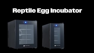 WhitePython Reptile Egg Incubators