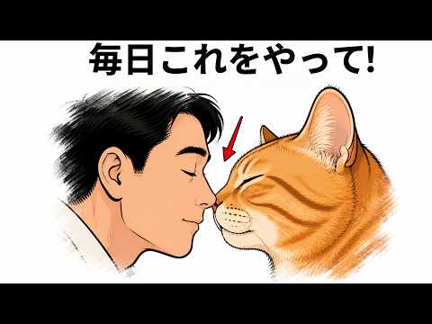 猫用こたつ】遠赤外線にゃんこの和みこたつLサイズをレビューしてみた