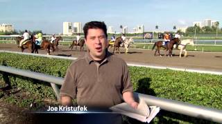 Racing 101: The Post Parade