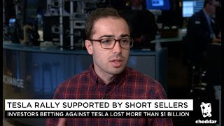 The Tesla Short Thesis Is Crumbling 🧀 Cheddar