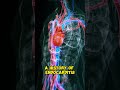 Antibiotic Prophylaxis In Cardiac Patients: 7 Effective Procedures
