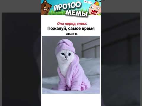 МЕМЫ с Котами и Короткие Приколы 6 Июня Смешные Картинки с озвучкой #shorts