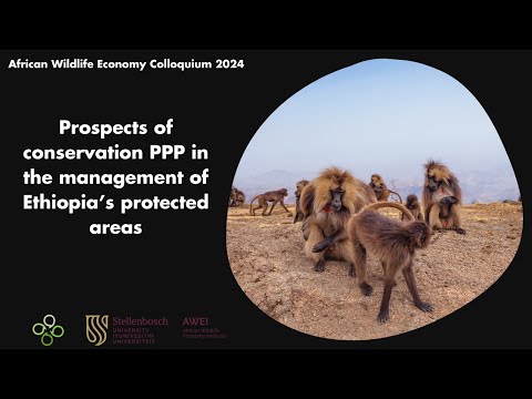 Prospects of conservation