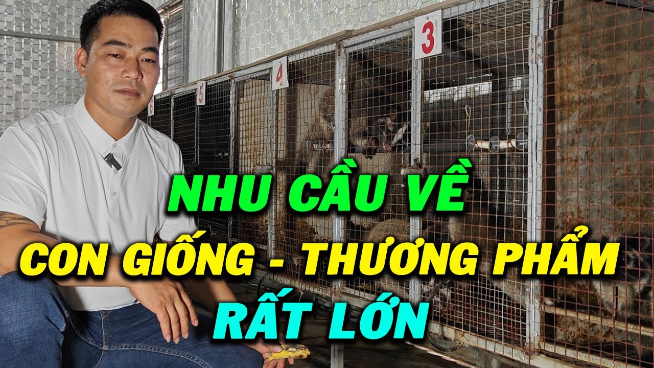 Nhu Cầu Rất Lớn về Con Giống và Thương Phẩm Con Chồn Mốc | Kinh nghiệm ...