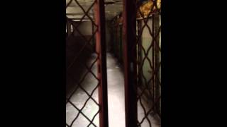 Philadelphia Death Row 2013 PJ