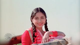 Kaun Disa Mein Leke Chala Re Batohiya (DJ Jhankar Remix) Nadiya Ke Paar | Sachin, Sadhana