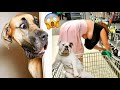 Try Not To Laugh 😂 Cutest People Doing Funny Things 😺😍 Part 2