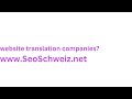 www.SeoSchweiz.net website translation companies?