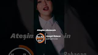 Ayşegül Babacan - Çektiğim Çile Resimi