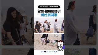1년에 딱 한 번! 다시 돌아온 태안 반려동물 해변운동회🐶💙
