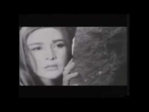 ხევისბერი გოჩა-სასამართლო