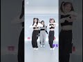 [Twice]同じダンス違う感じ The feels
