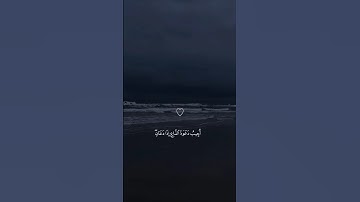 قرآن كريم #المصحف #اكسبلور #القزابري #دويتو #حالات_واتس #الرحمن #لايك #راحة_نفسية