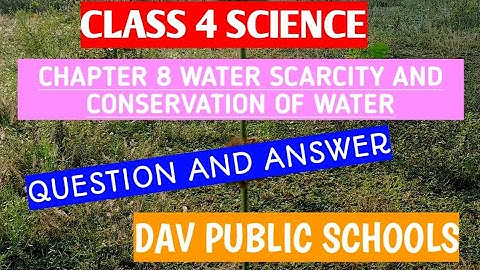Chapter 8 Question and Answers | CLASS 4 Science | DAV PUBLIC SCHOOLS