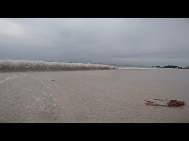 One Minute in Nature: Relaxing Ebb And Flow of the Gulf on Anna Maria  Island. 