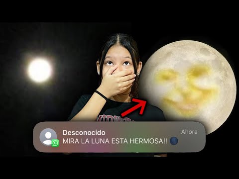 NO MIRES LA