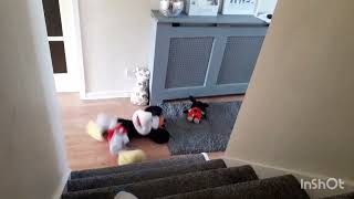 Mickey Mouse Fall Down The Stairs
