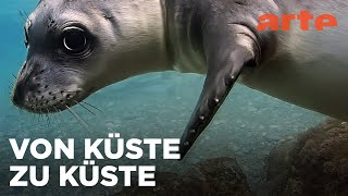 Griechenland | Raue Welten - Wilde Schönheiten | ARTE Fernweh