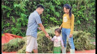 The mother and daughter worked as hired laborers harvesting rice in a small village