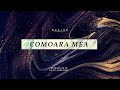 Comoara mea | Revive feat. Desiderio Quintet