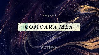 Comoara mea | Revive feat. Desiderio Quintet