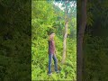 স ন আশ প হ ৰ ন য য ই হ লম ট ন চ আম 