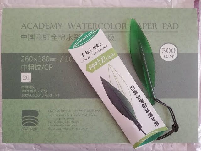 Meeden Watercolor Paints, Paper, Pallete and Brushes Review - In Depth 