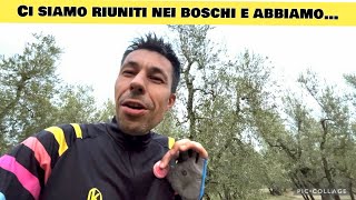 Download Lagu We gathered in the woods and… MP3 Download Lagu We gathered in the woods and… MP3