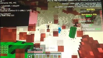 VampireZ Vamps hugging cacti 😝. (Minecraft Hypixel VampireZ)