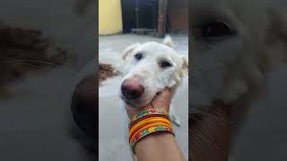 bhai mere paise kab dega #funny #comedy #shorts