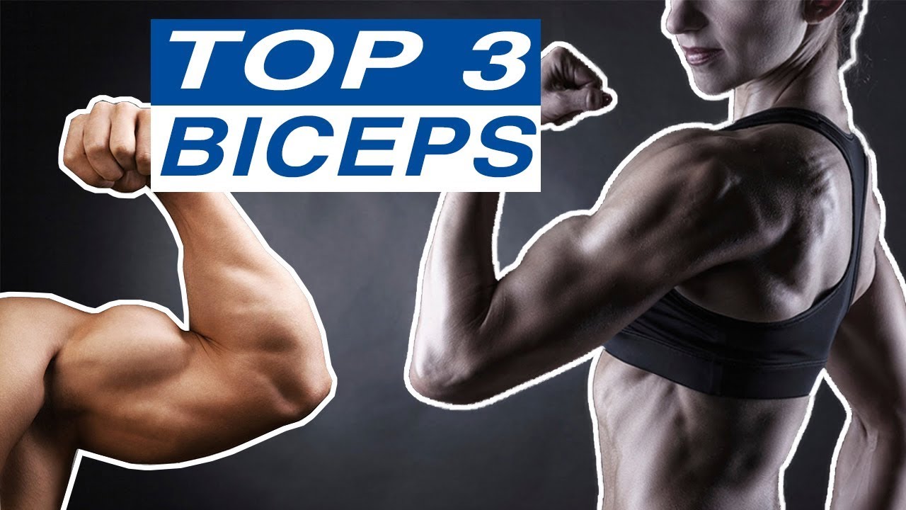 Ejercicios para las tres cabezas del biceps