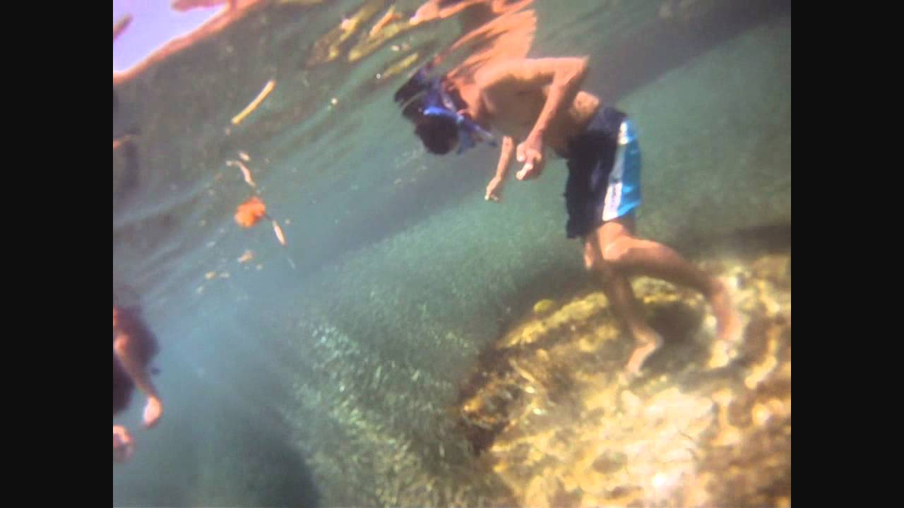 Snorkeling in Dry Tortugas YouTube