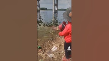 Câu cá đập suối rao châu đức bà rịa vũng tàu mãi đỉnh #trumcauca #câu #shorst