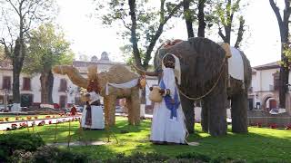 Christmas In Patzcuaro