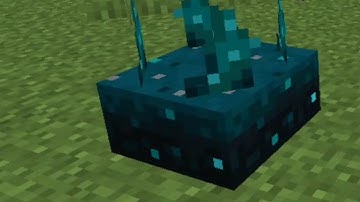 Sculk Sensors!! Minecraft Caves and Cliffs Snapshot 20W49A