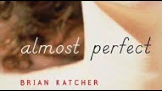 Almost Perfect By Brian Katcher