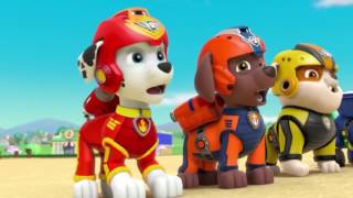 Watch Paw Patrol: Mission Big Screen Trailer