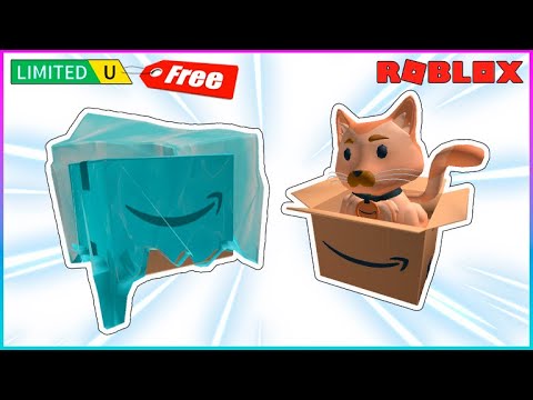 БЕСПЛАТНО ЛЕДЯНАЯ КОРОБКА и КОРОБКА с КОТОМ в Amazon's Holiday Dash ...
