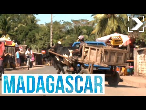Vídeo: El temps i el clima a Madagascar