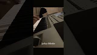 Müzisyen Mehmet Îpek Ferdi Tayfur