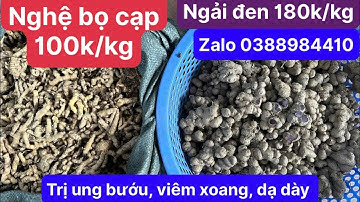 Ngải đen tươi và nghệ bọ cạp vàng trị ung bướu, xương khớp, dạ dày, viêm xoang mũi