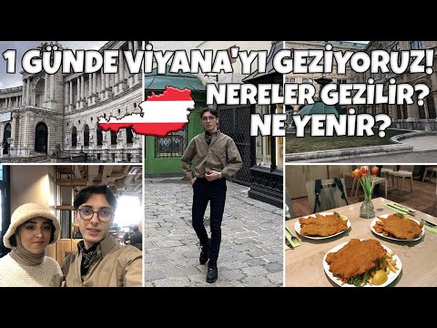 Video: Viyana'da ne ziyaret edilir?