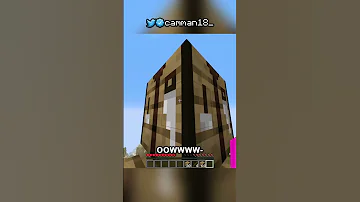 I Made Blocks Bigger 